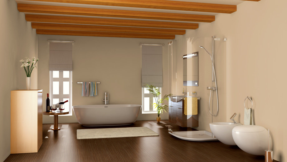 slide03-Shutterstk_bathroom-52049353_MiddleZebrano